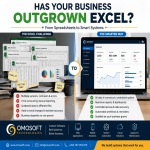 has your business outgrown excel
